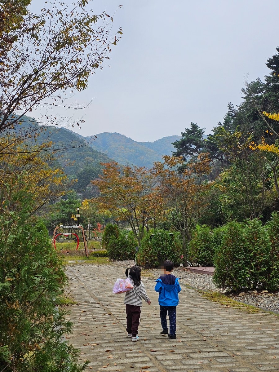 여섯번째_서운산자연휴양림 오토캠핑(미즈캠)