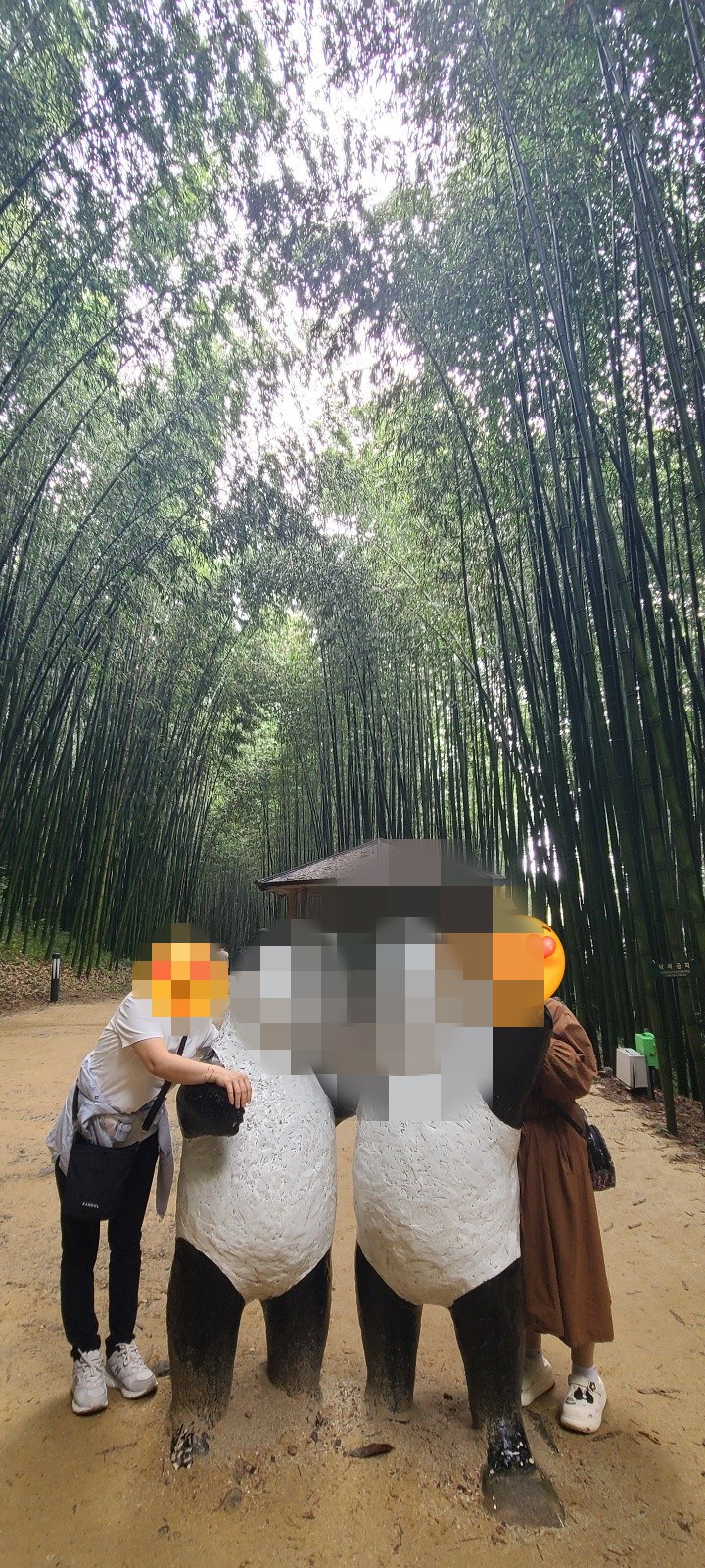 [담양]죽녹원