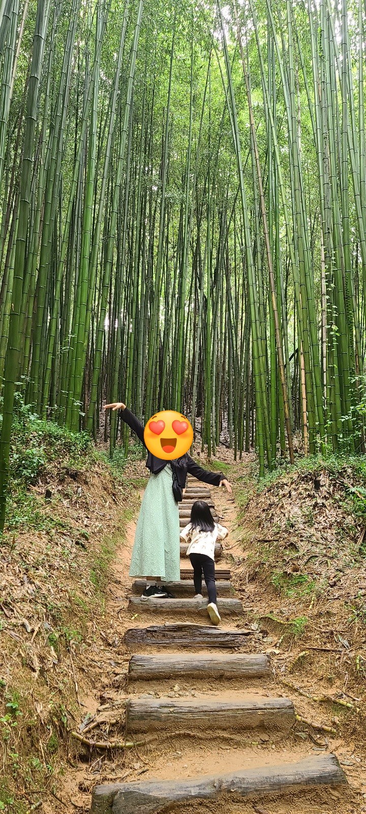[담양]죽녹원