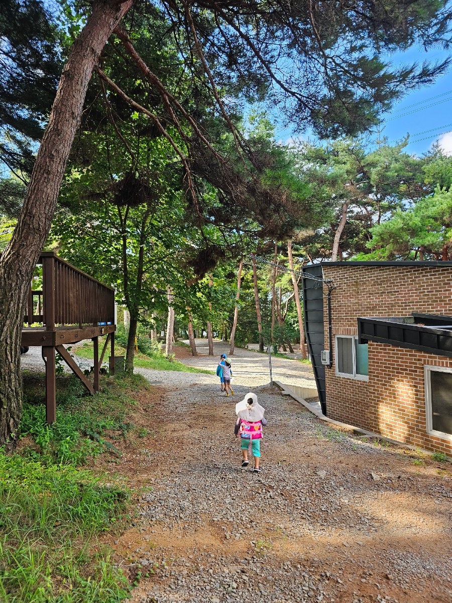 두 번째_[홍성]용봉산캠핑장_2일차