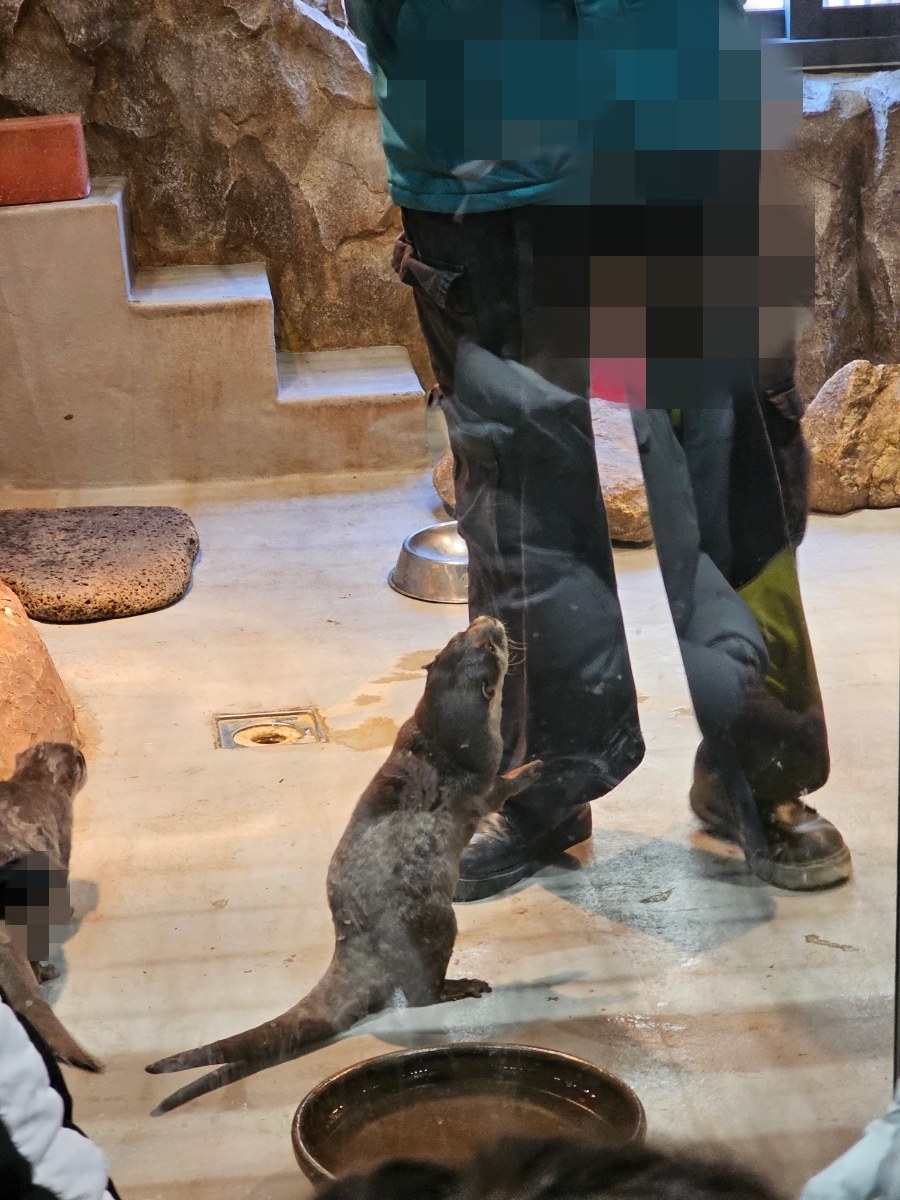 수달앤쥬 용인점