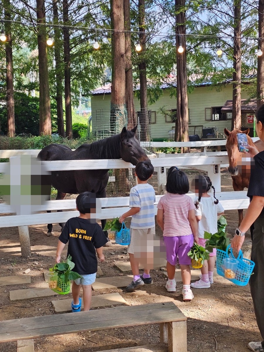 [용인]한터농원