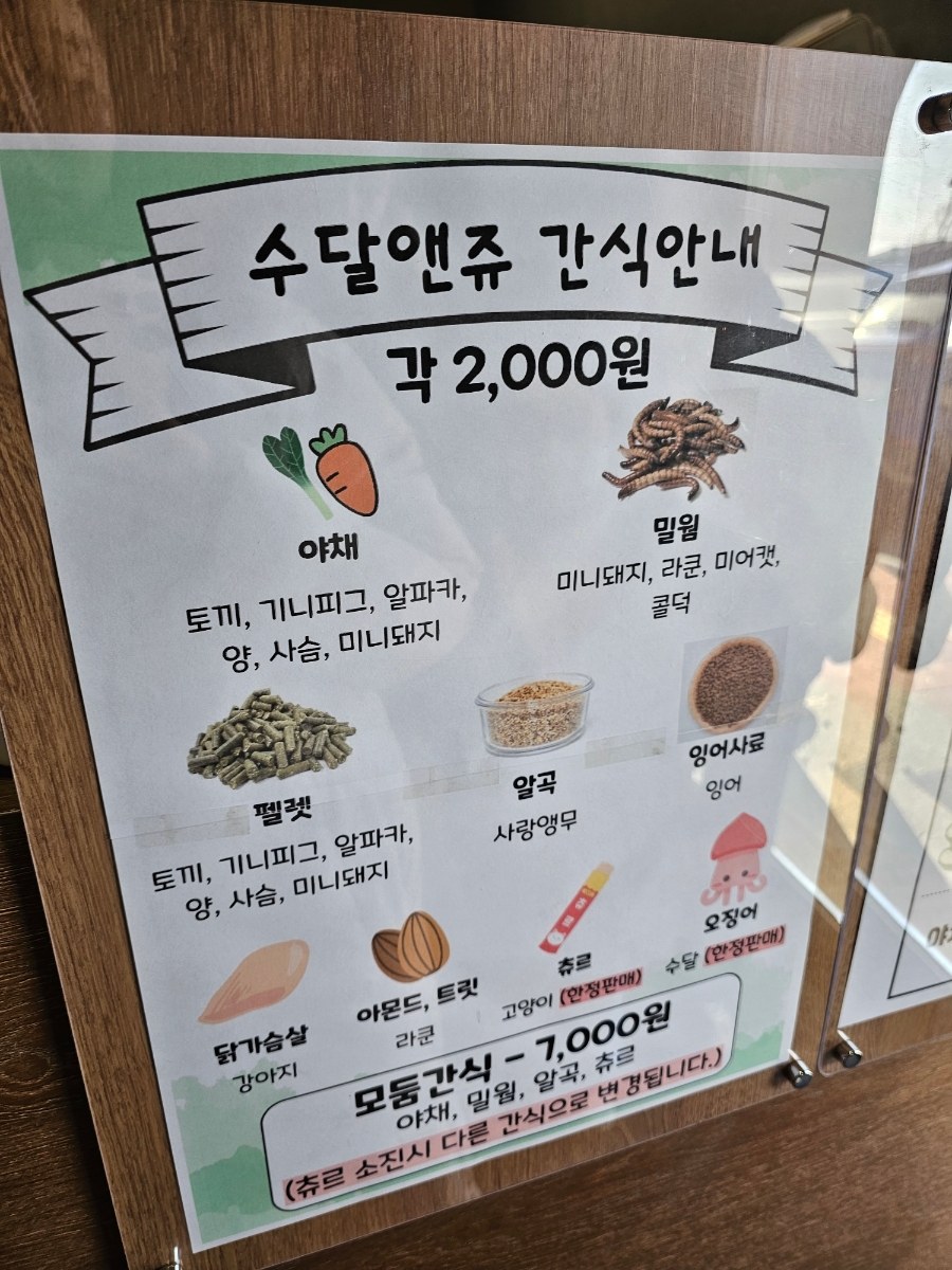 수달앤쥬 용인점