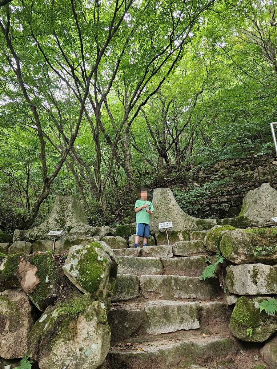 [경주]삼남매랑 경주 여행