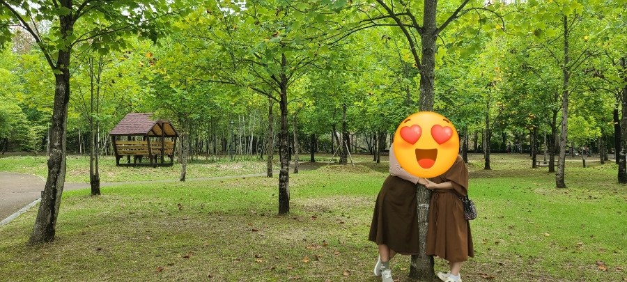 [담양]죽녹원