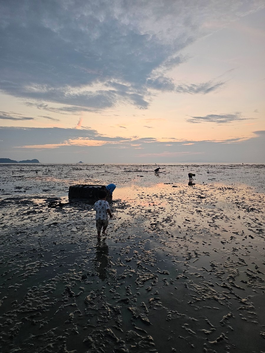 [안산]방아머리해변
