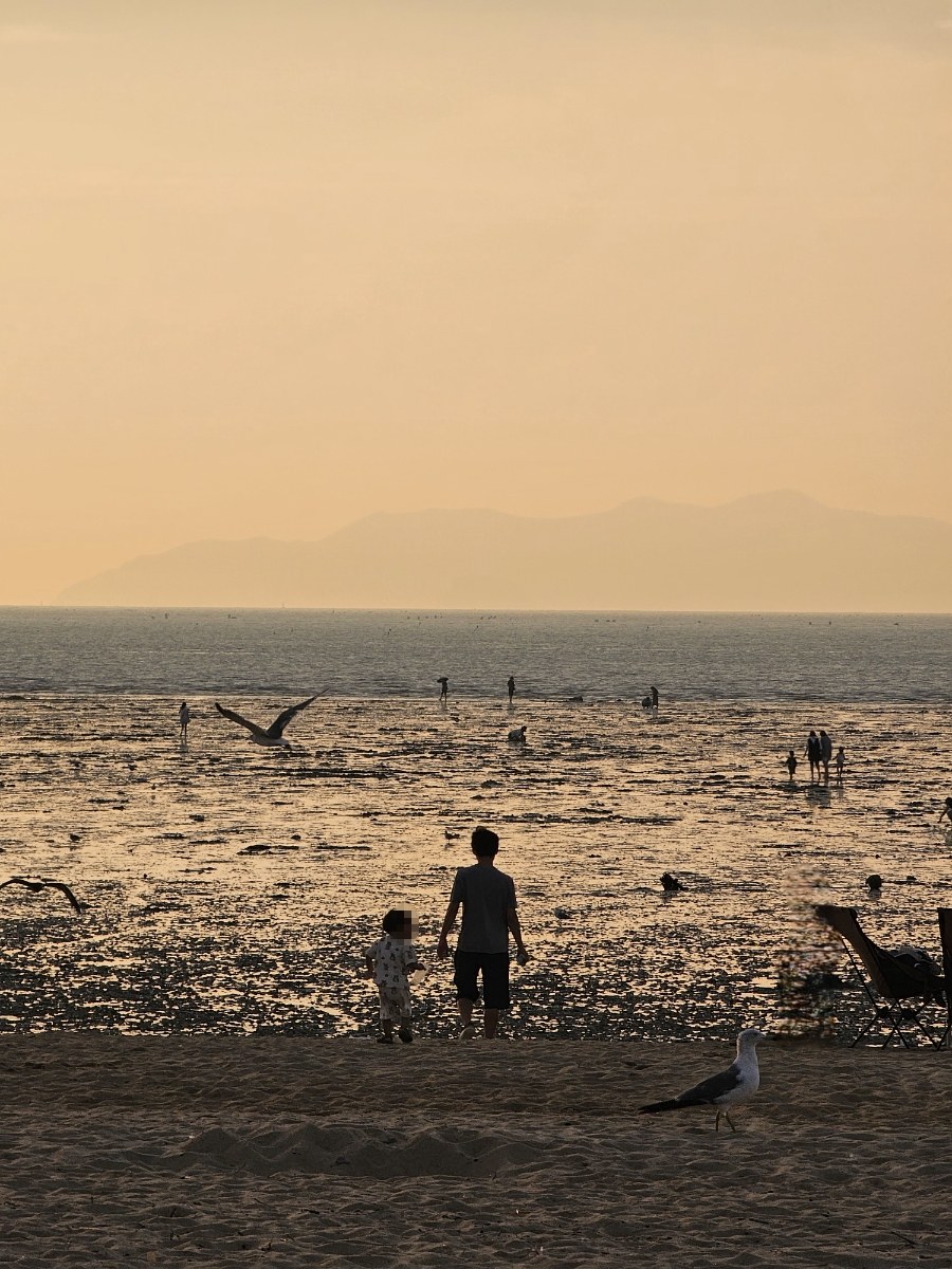 [안산]방아머리해변