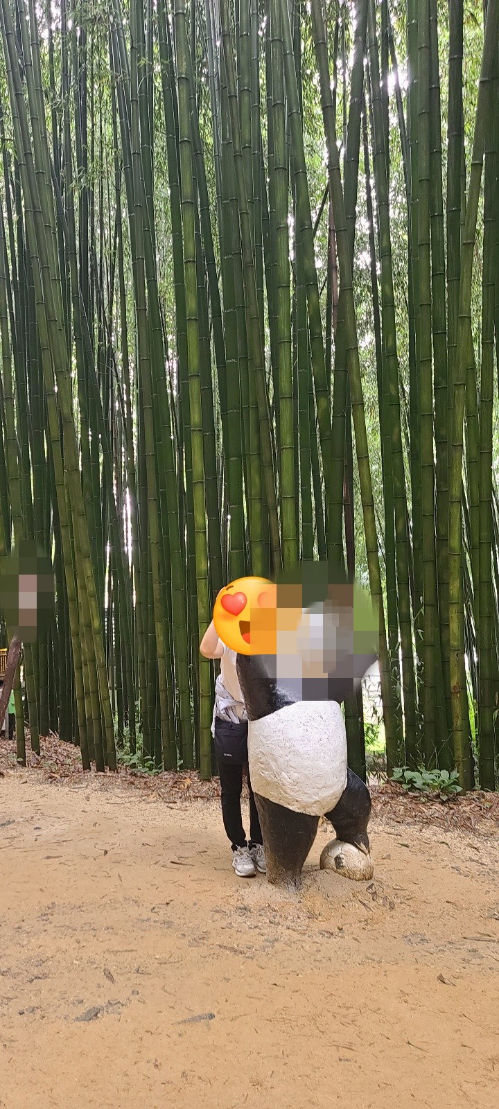 [담양]죽녹원