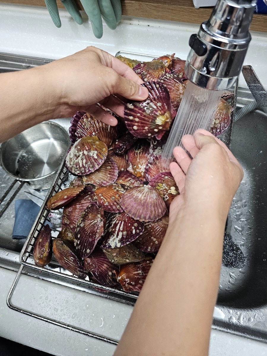 가리비찜