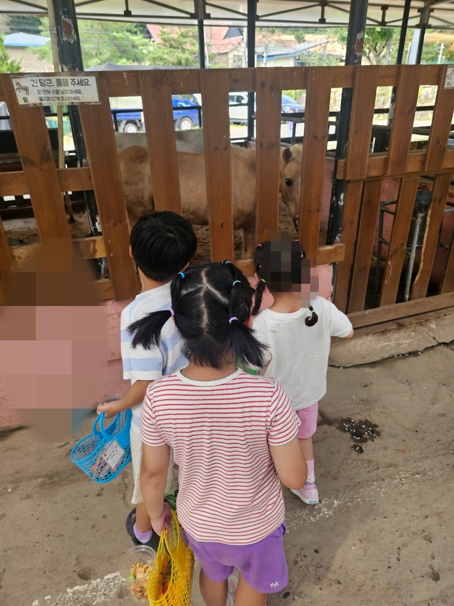 [용인]한터농원