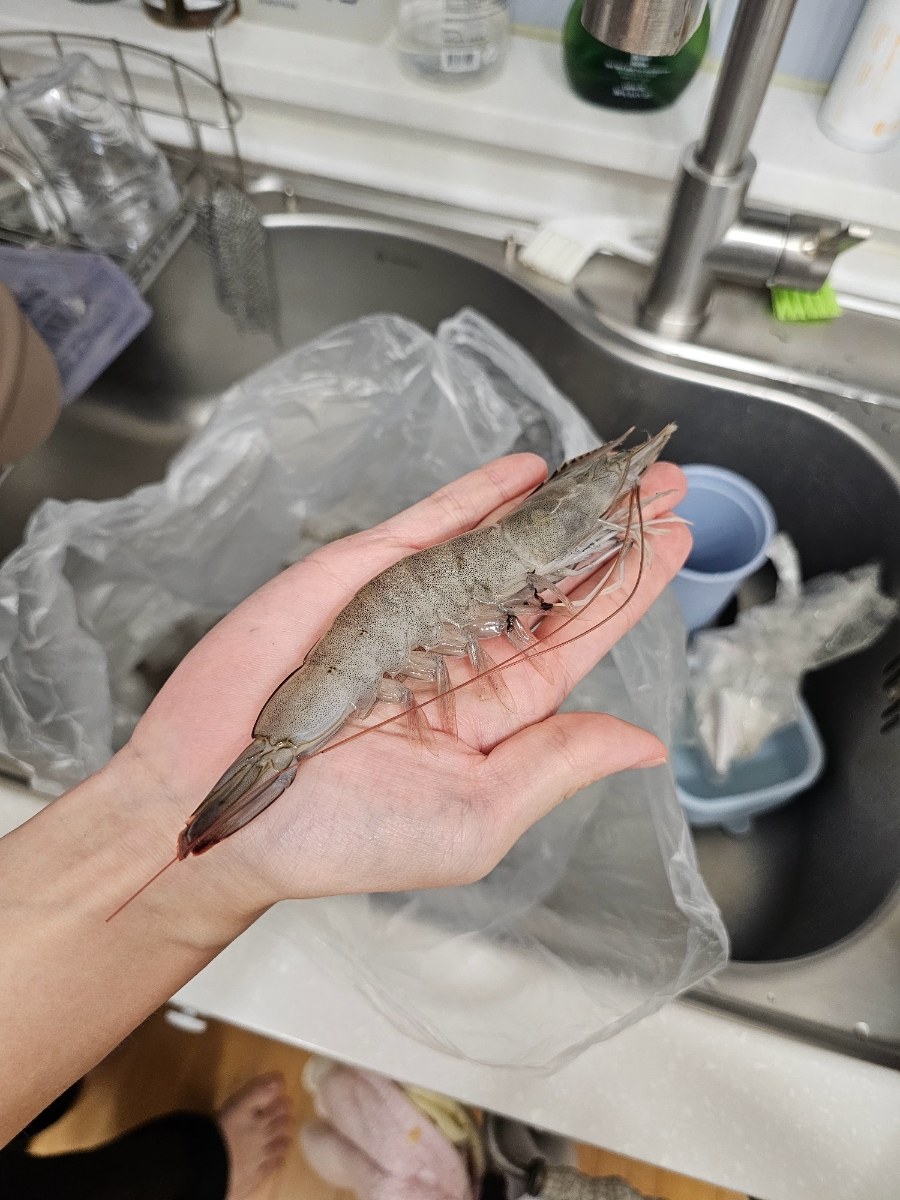 대하의 계절