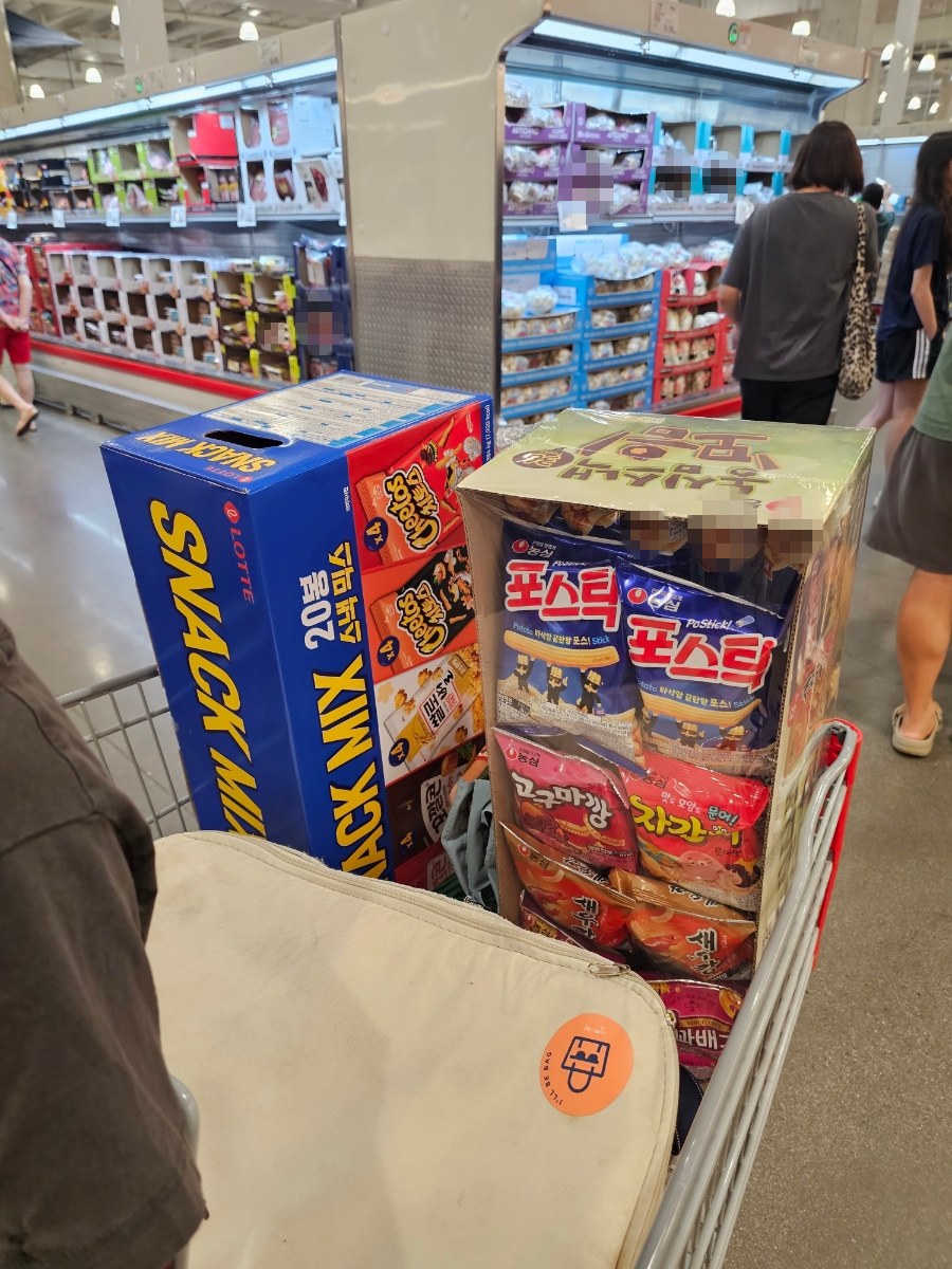 코스트코 공세점 여름휴가 장보기