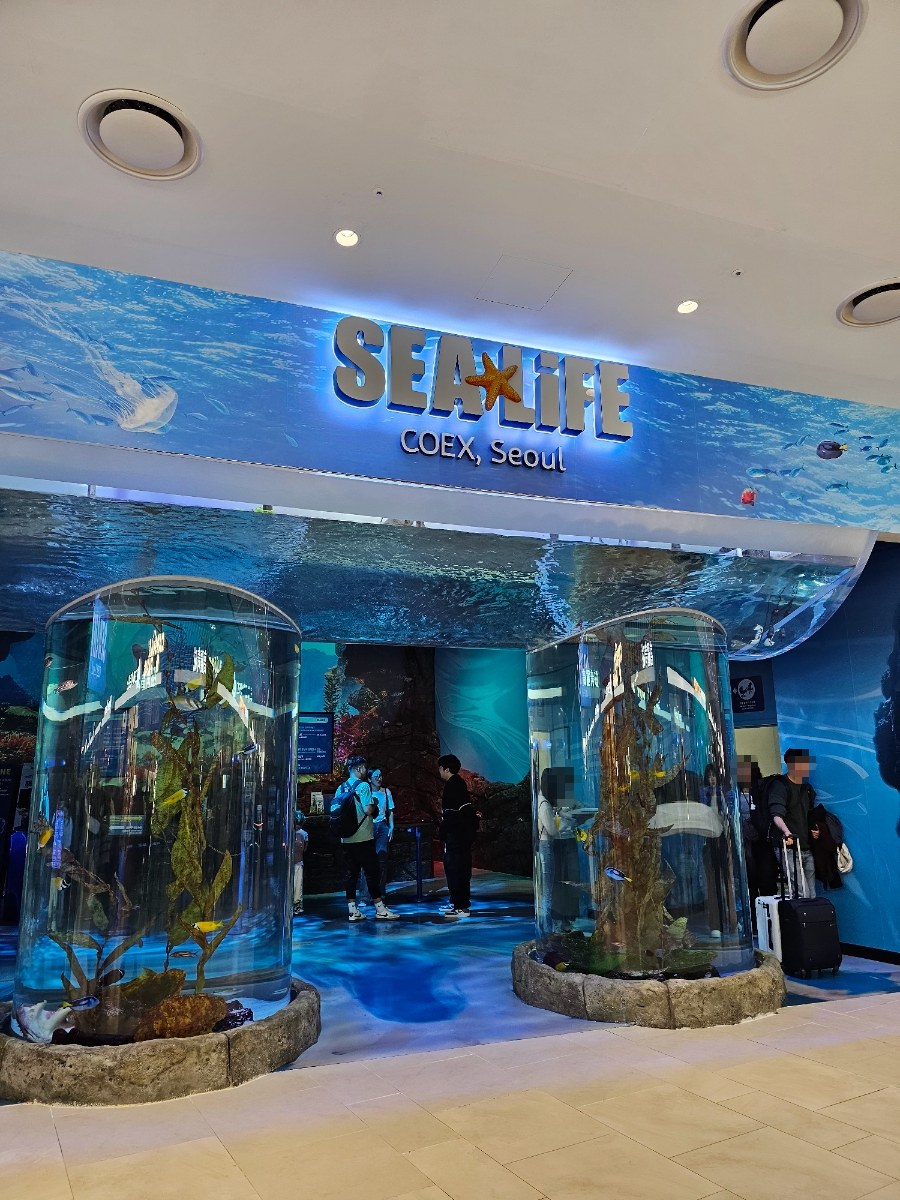 코엑스 아쿠아리움