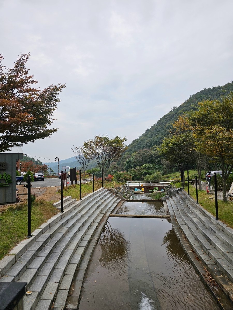 여섯번째_서운산자연휴양림 오토캠핑(미즈캠)